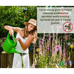 zakaz-podlewania-ogrod-w-woda-miejska-w-gmianch-w-polsce-2022