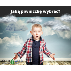 Jaką piwniczkę wybrać? Betonową czy z tworzywa?